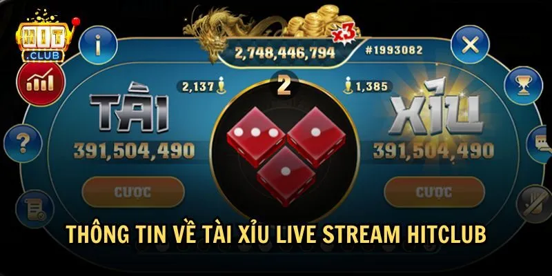 tai xiu live stream hitclub 1 Tịm hiểu cơ bản về Tài Xỉu Live Stream HitClub