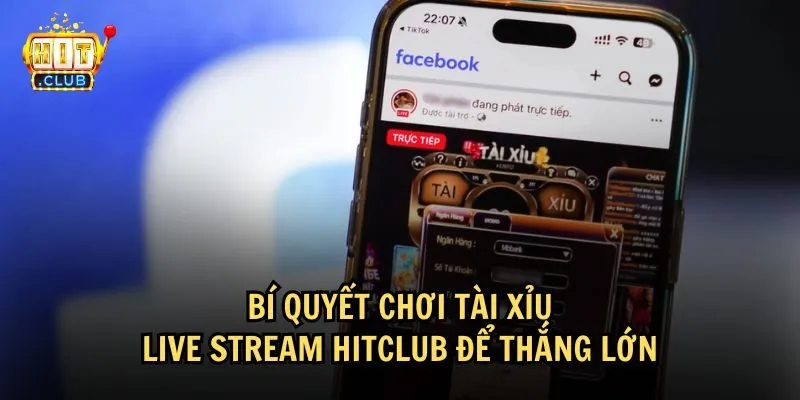 tai xiu live stream hitclub 3 Tham khảo một số mẹo thắng lớn khi chơi Tài Xỉu Live stream HitClub