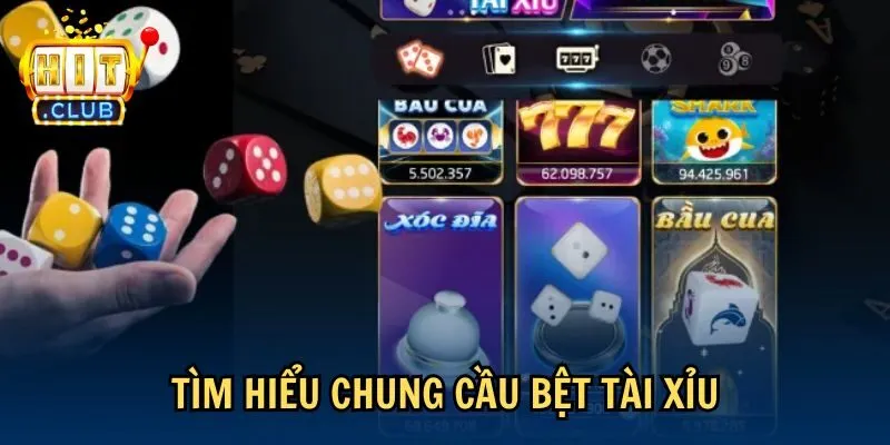 tim hieu cau bet tai Tìm hiểu chung cầu bệt tài xỉu